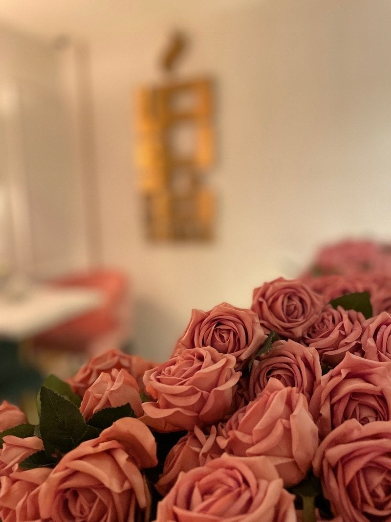 ياسمين حبيب